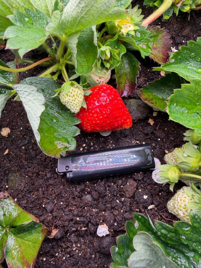 ��������� �������� ��� ��������