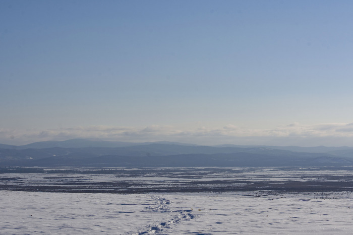 ������ �. �������, � ������������ ���������� �� ���������.