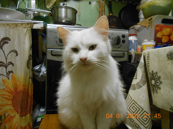 ��������� ��������� �� ��������� ����������.