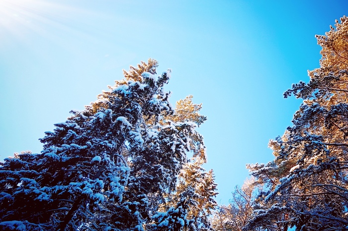 � ���������� ���������!