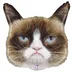 user11334989