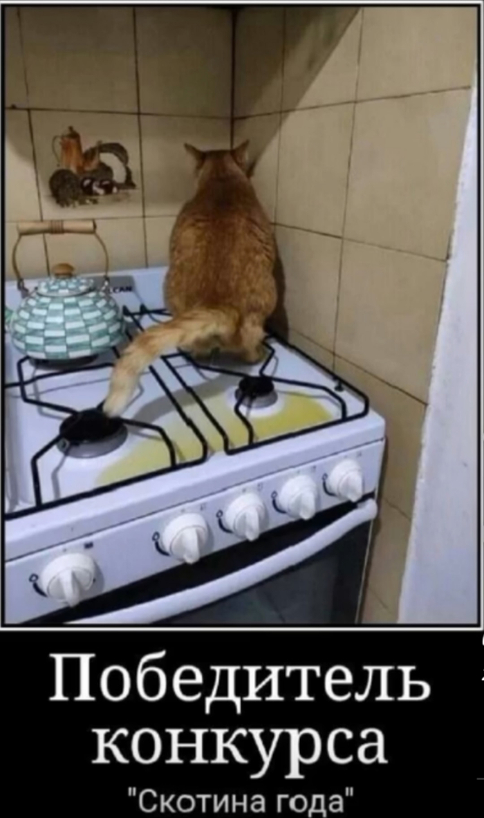 Ссылкивый мститель...