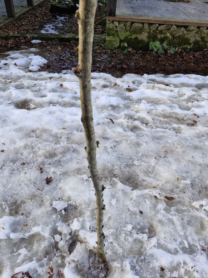 ���� � ��� ���� ����� ��� ������������� ������, ���������� � �����, ����������.