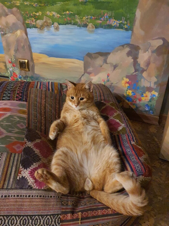 ����� ����� �������� ���