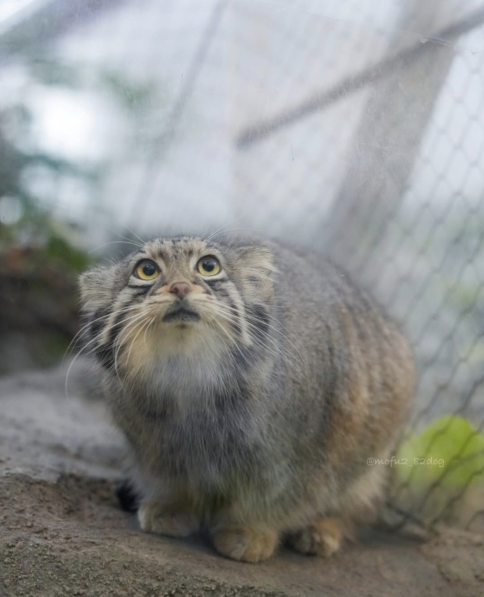 � ��� ����������?...