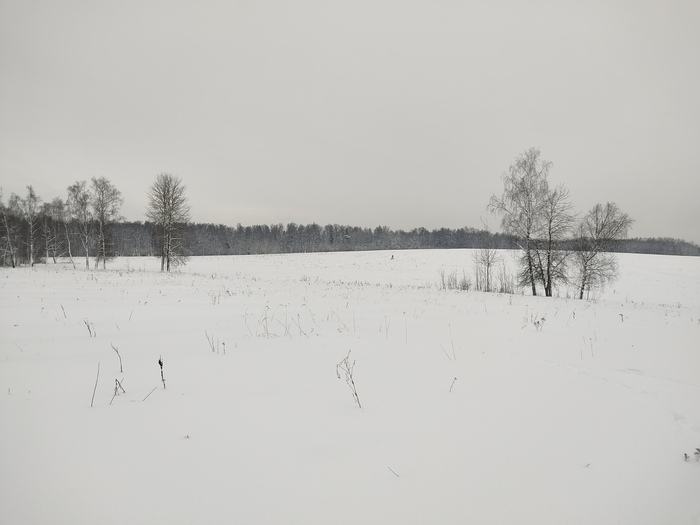 ׸���-����� ����