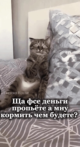 ������ ����������(