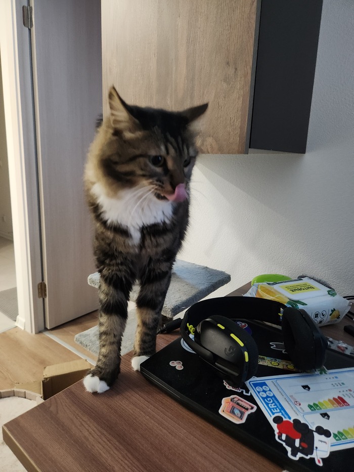 Ежедневный Рислинг #169