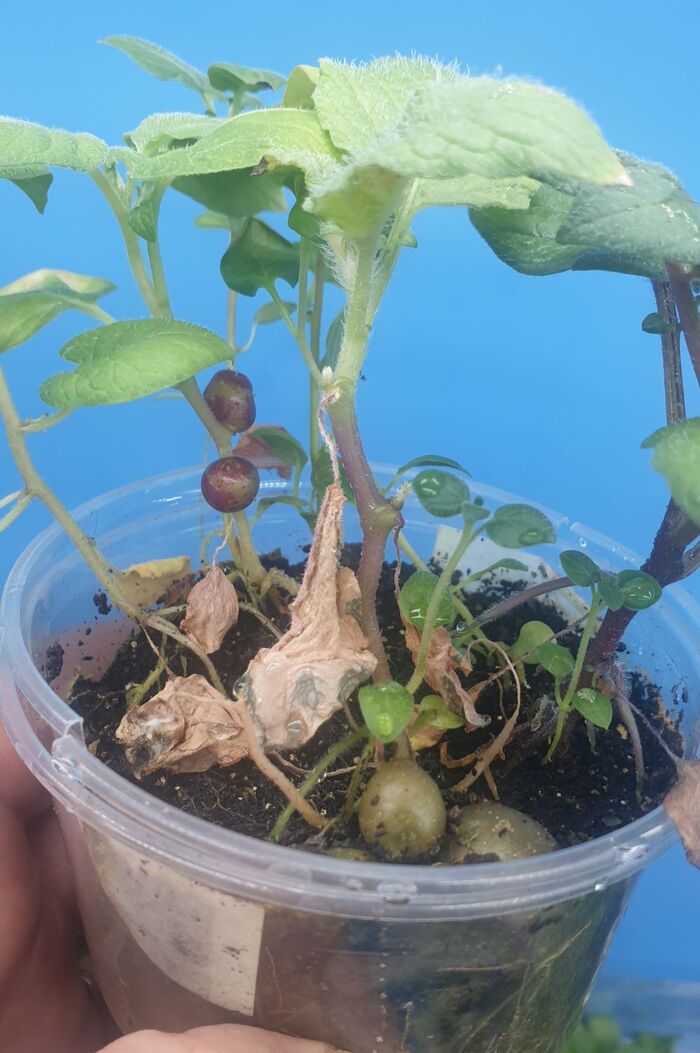 �����������, ��� �������� �� �����.