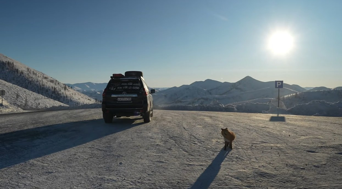 �������� �� ������ ������� ��������