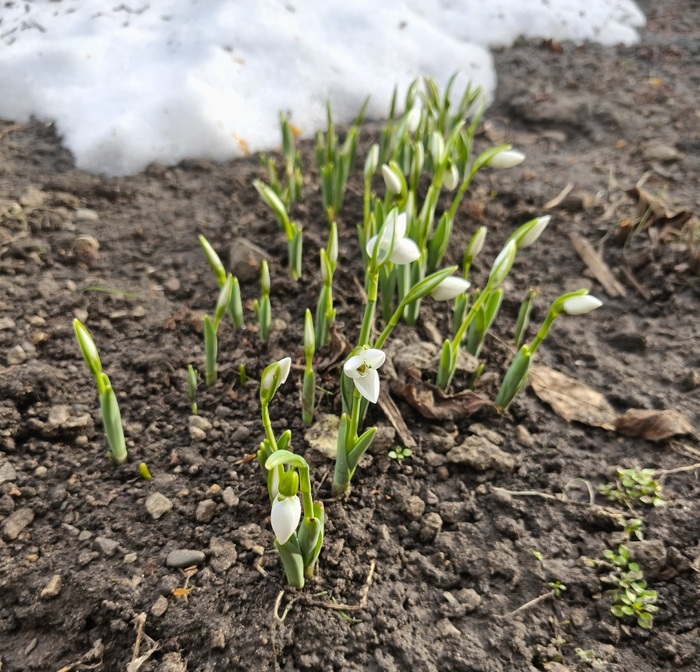 ������ �� ����, ������� ���� � ��