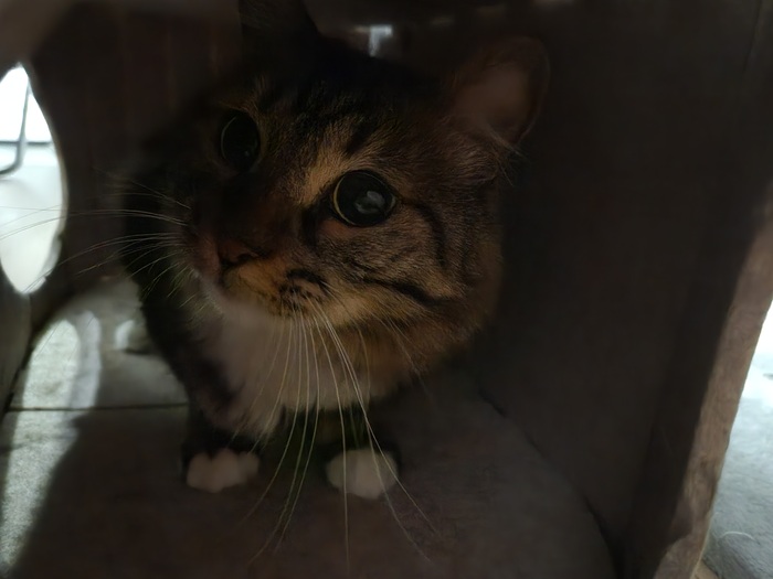 ���������� ������� #165