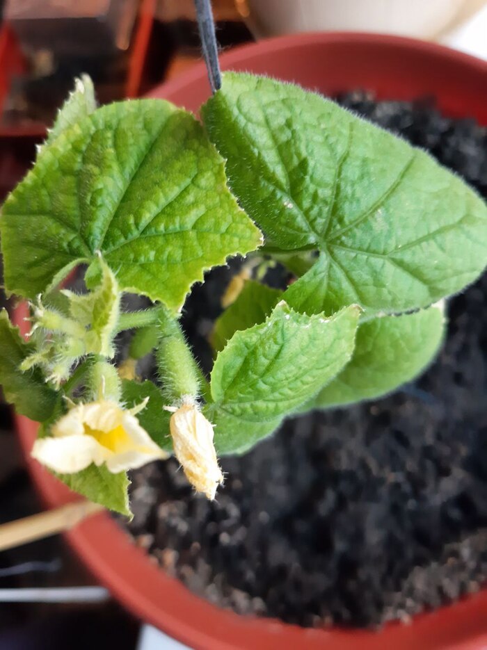 ��� � ����� �������� ���� ����� � �������� ��������� ����.