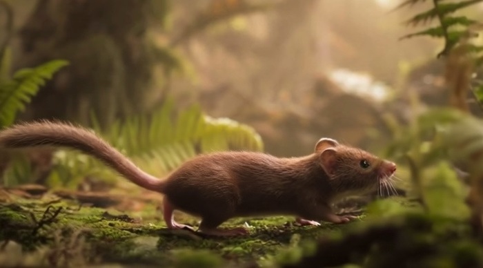 ����������� ������������� ��