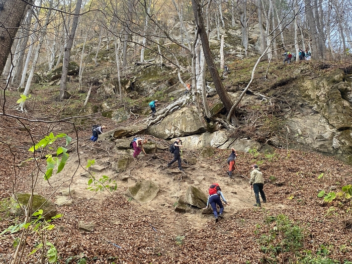 ������ ����� � ���� �������