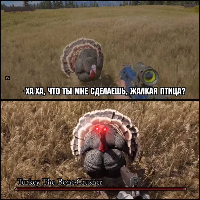 �� ������ ������: 7 ����� ������� � ������ �������� ������� � ����������