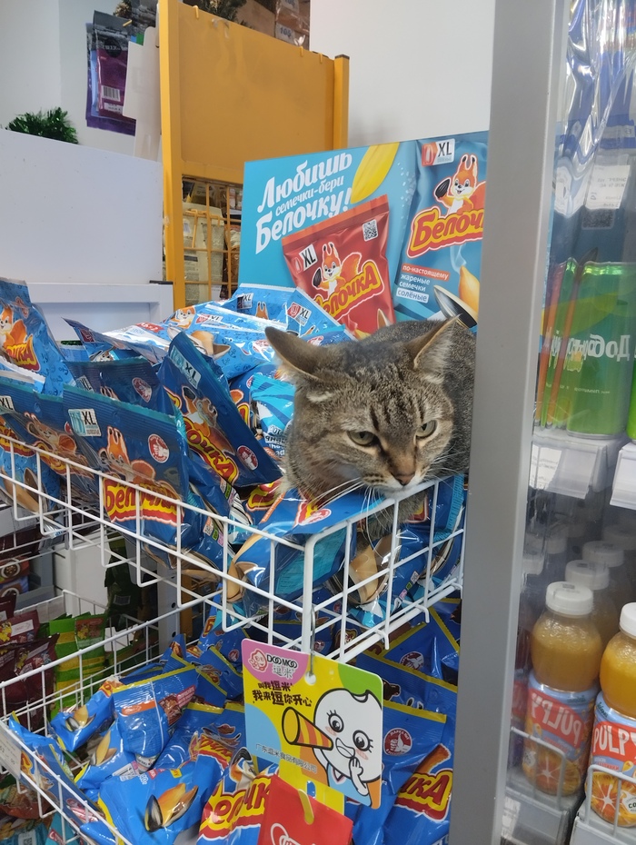 � ���� ������� �������, � � ���� ���!