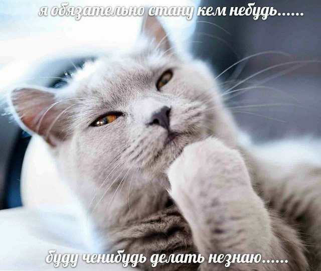 ���� ����� VS ���������� �������