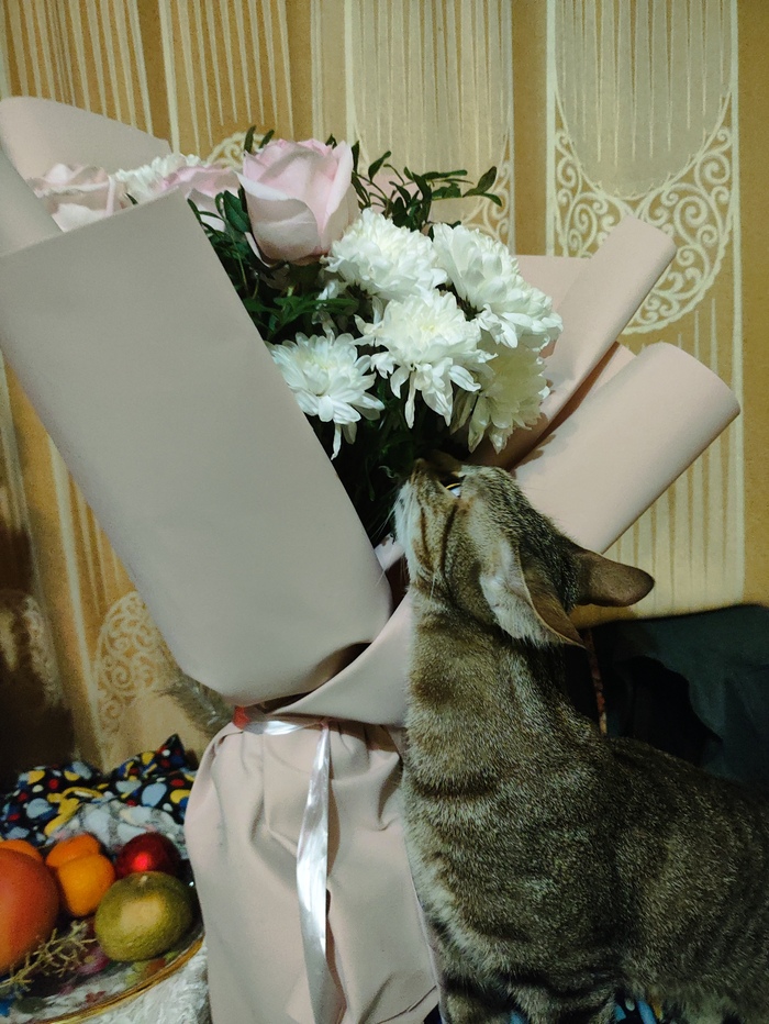 �������������