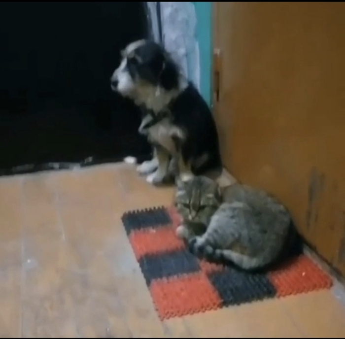 ��� ���� ���� � ��������, �� ����� ��� ��������� ������ ����������