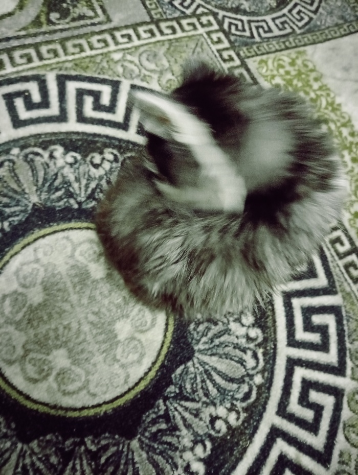 ��������� ������, ��� �� ������