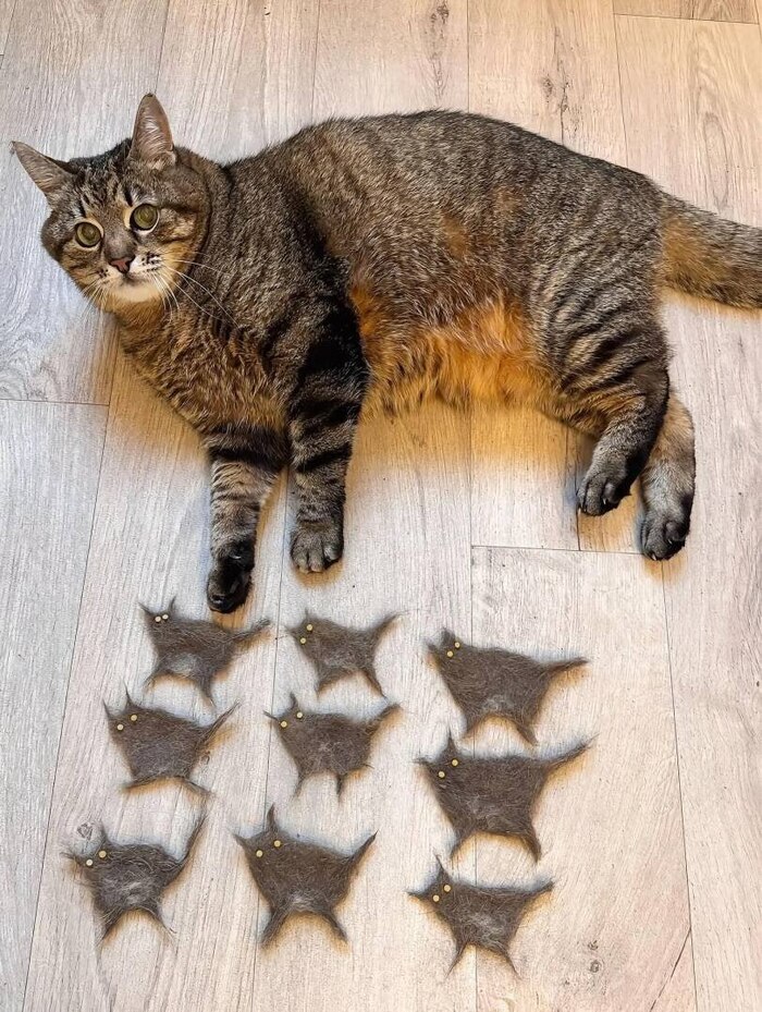 �������� 9 ������ :)