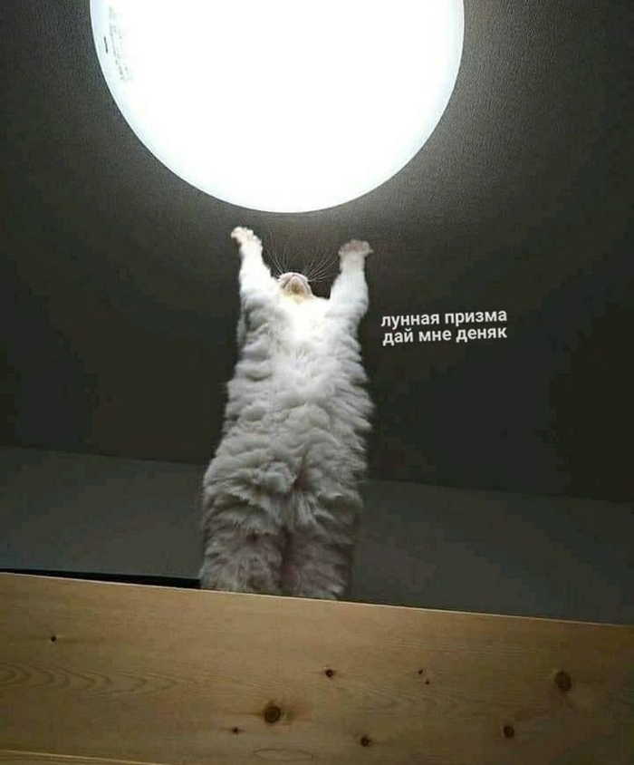 ТЕКСТ ЗАРЯЖЕН НА ДЕНЬГИ