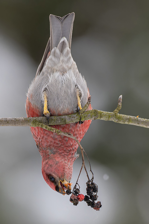 ���. �����. ���������� �������.. ���������� ��������. 10 ������ 2026 ����