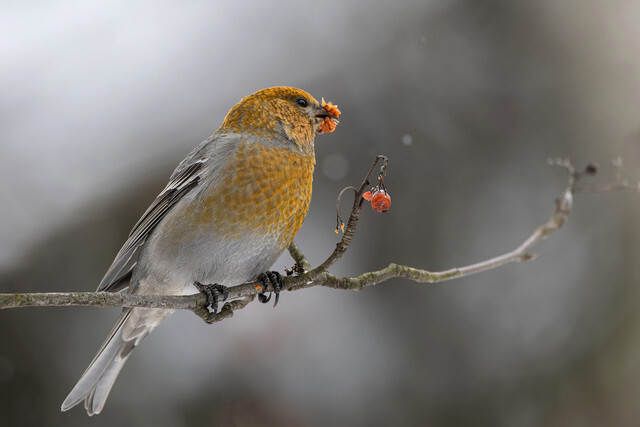 ���. �����. ���������� �������.. ���������� ��������. 10 ������ 2026 ����