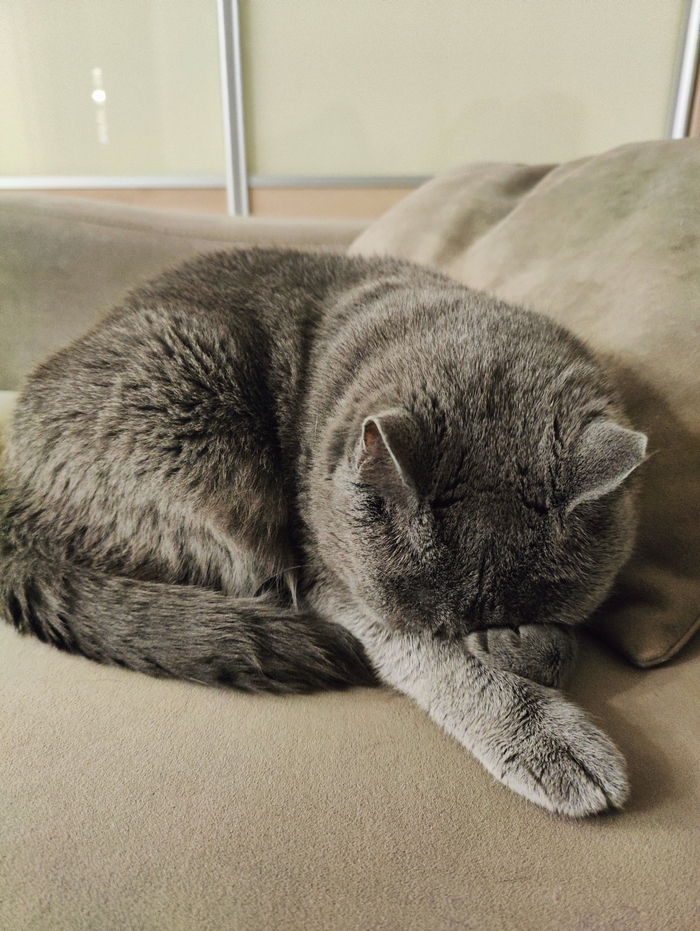 Отчаяния пост