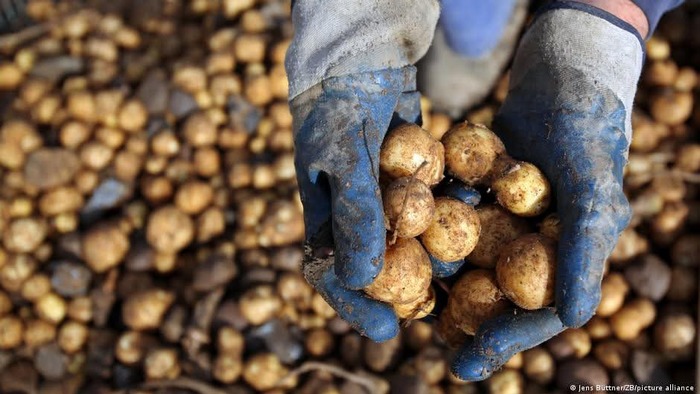 ��� � ����� �������� ������, ���� ������?)