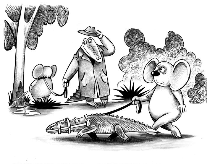 ��� ��������