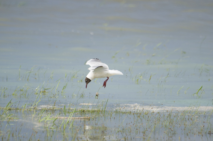 ������� ������ ������ �� ������