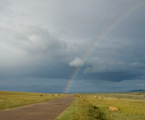 �������