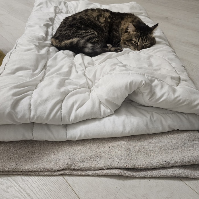 ��������� �� ��������