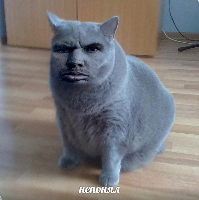 ��� ��� �� ����� ���������, ��� �� ����� ??