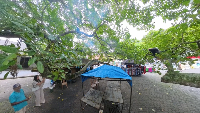 ������, �� ����� ������� ����