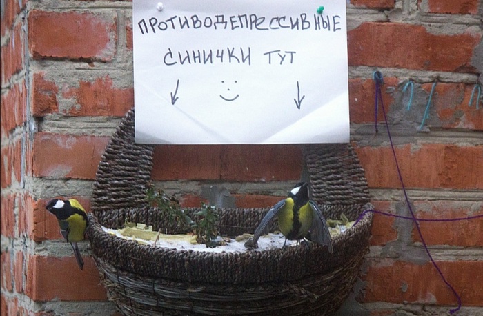 �������� ������ ��� ������ �����