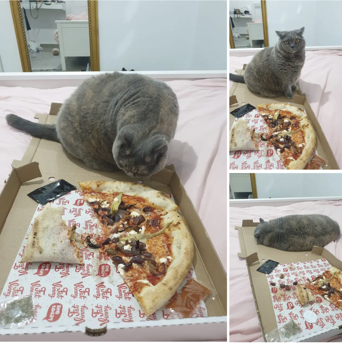 ����� ��������