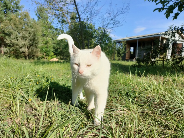 �����������, ��� �������