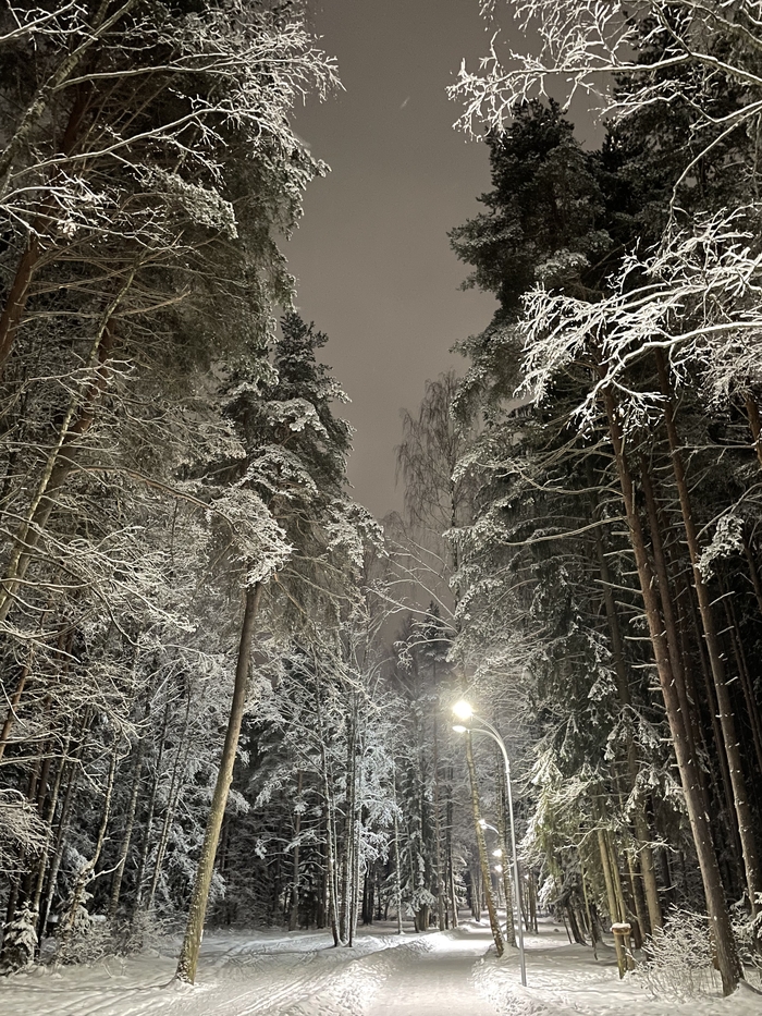 �������� �����