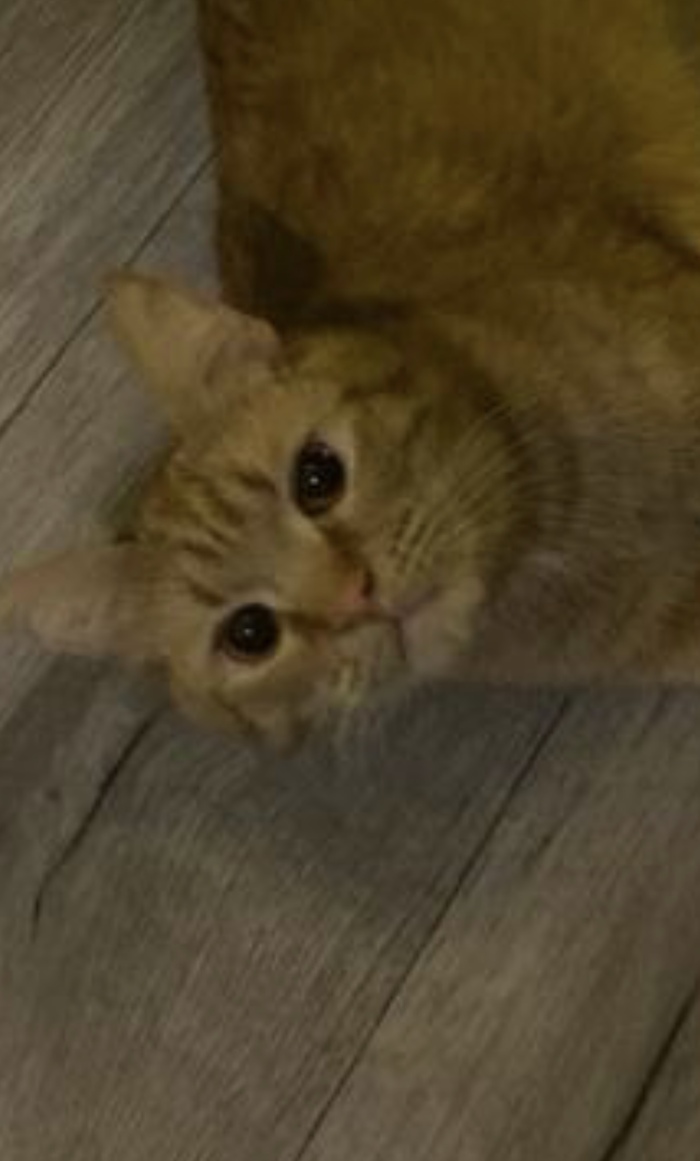 ����� ���� ���������, � ������ �����-�� �����