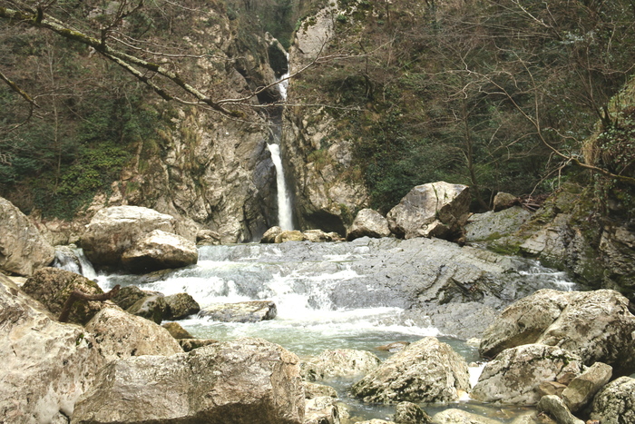 ������ �������� �������