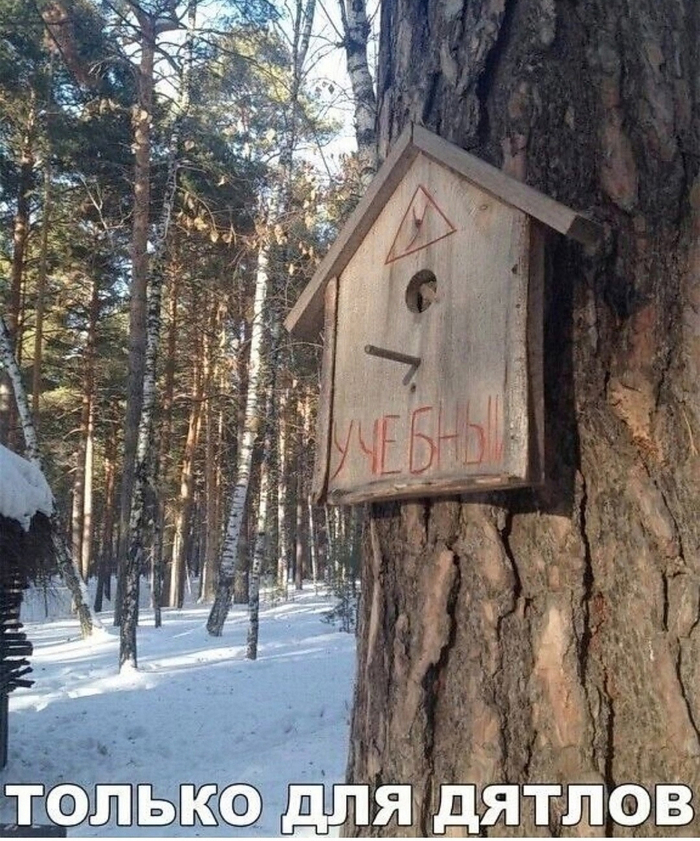 Вот так всегда "У"...