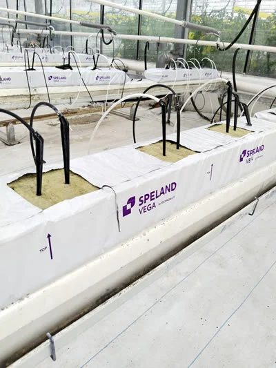 Mineral wool (agrowool) for hydroponic plant growing. Features, nuances, and subtleties. - Longpost, Vertical Truss, Hydroponics, Mineral cotton, My