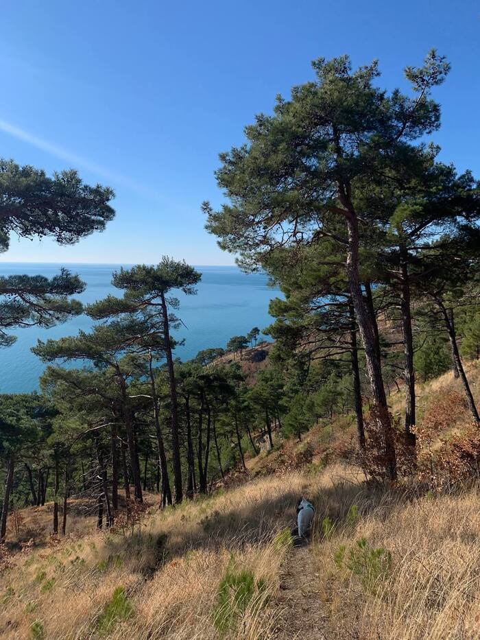 Очень много гуляли по горам, исследовали неочевидные достопримечательности