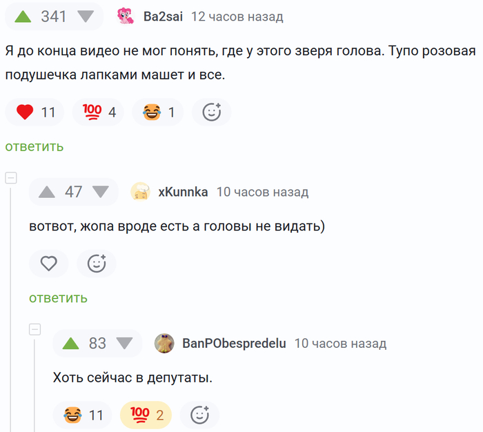 ���� ������ � ��������...