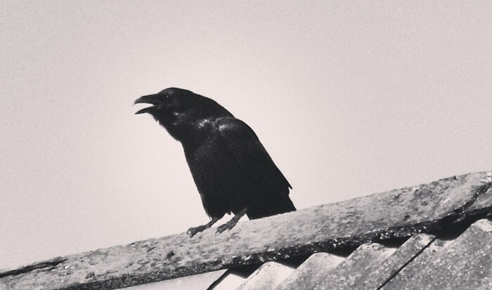 ���� ����� ��� ���� ������� (� ����� � ���������� ��������� ��� ����): ������, �������, ����� �������, ��� � ������� ��������. 