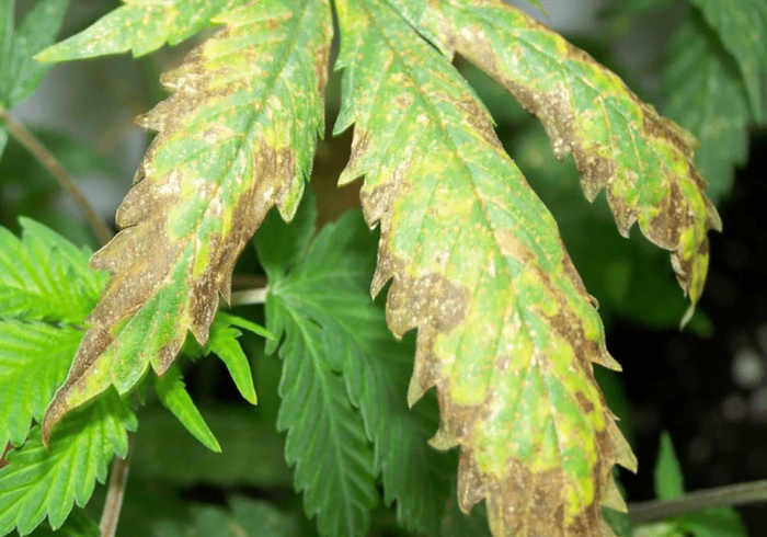 ��������� ��� ������� ��� ��������� �����