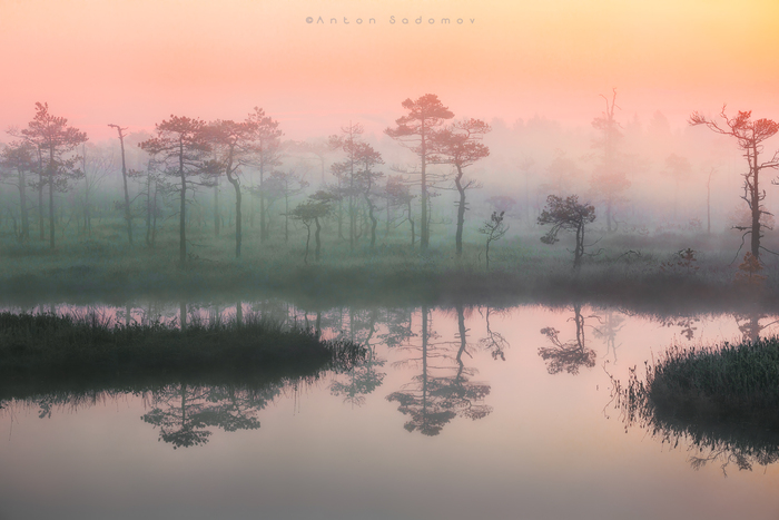 ��������� ������. �����-���������